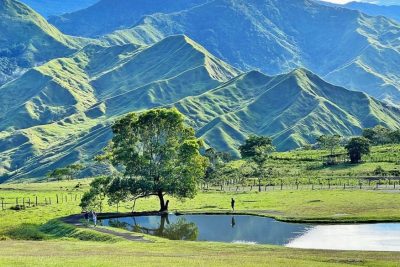 Bukidnon 1 serper image 242 1774048450